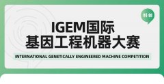 iGEM生物竞赛介绍！iGEM竞赛流程梳理