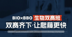 USABO和BBO含金量对比？ BBO/USABO生物双赛班来袭！助你爬藤更近一步！
