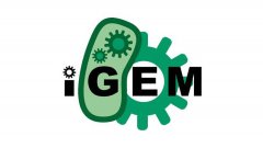 全科皆可参与的天花板级别生物竞赛iGEM是什么？igem参赛流程介绍