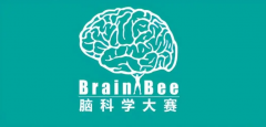 Brainbee考多少分才能拿奖？Brainbee历年分数线一览！