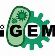 iGEM竞赛考试是怎么设置的?IGEM竞赛如何备考？