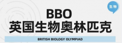 BBO竞赛规则是什么？BBO含金量如何？