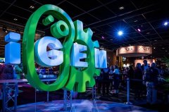 iGEM竞赛是什么?iGEM会考察哪些知识点?如何备考容易拿奖？