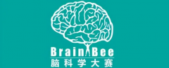 Brainbee脑科学竞赛报名已开启，Brainbee适合什么学生参加？