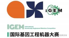 iGEM竞赛周期要多久时间？流程是怎么样的？为什么要打iGEM竞赛？