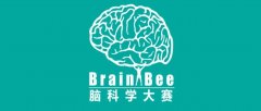 brain bee 脑科学大赛如何报名？考试题型有哪些？奖项如何设置？附brain bee竞赛冲刺培训
