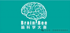 brainbee脑科学大赛报名/时间/考试内容详解！附思客brainbee竞赛培训