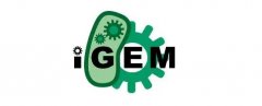iGEM竞赛是什么?一文看懂参赛时间|组队规划|奖项设置~