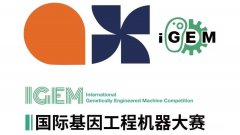 iGEM竞赛冲金难吗?需要从哪些方面入手?6本备用教材免费领~