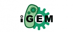 2025年 iGEM备赛安排一文详解！赛事流程/比赛要求/干湿队分工/组队
