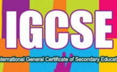 IGCSE课程如何选科?深国交学生IG课程选科建议与备考方法