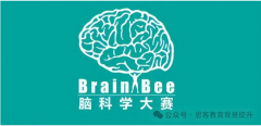 brain bee 脑科学大赛考试内容有哪些？思客brain bee培训课程详解