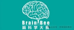 BrainBee竞赛规则是什么？BrainBee竞赛什么时候考试？