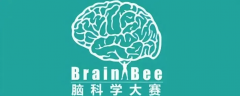 brainbee脑科学大赛备赛攻略：含金量/比赛内容/晋级规则/获奖率/辅导培训