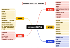 BrainBee竞赛是什么？考察哪些知识点终于讲清楚了